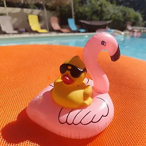 Ile Des Plaisirs, D'hotes Naturistes Avec Petit-dejeuner Tropical Inclus Graulhet